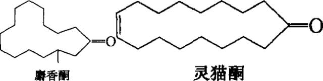 香水的香氣從何而來(lái)？