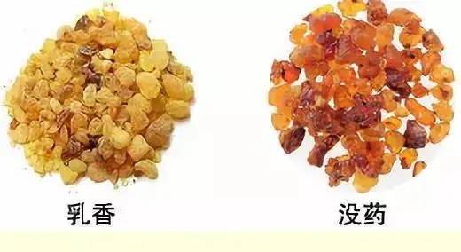 乳香，Boswellia Carterri Birdw 橄欖科