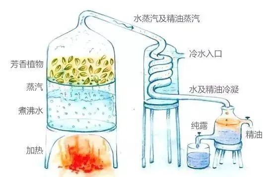 芳香療法，一個起源于5000年前的神秘學科