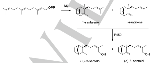 生物合成香料的化學(xué)組成、可持續(xù)性和天然性