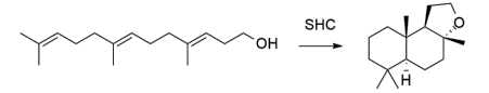 生物合成香料的化學(xué)組成、可持續(xù)性和天然性