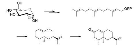 生物合成香料的化學(xué)組成、可持續(xù)性和天然性