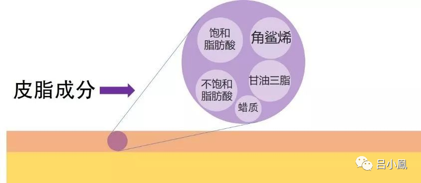 2022年護膚熱門功效成分有哪些？