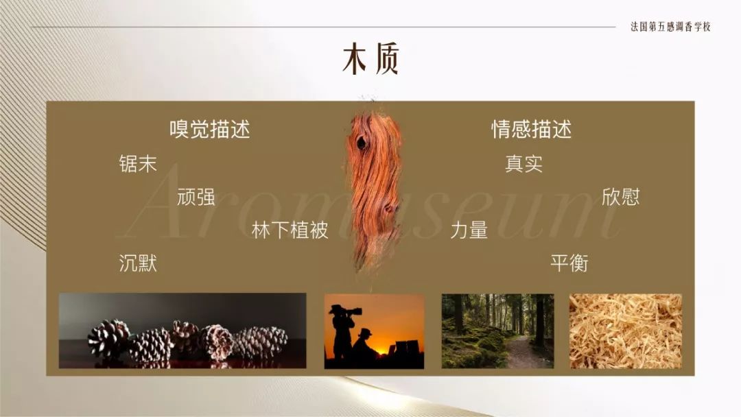 為什么有人一身果香，有人卻一身藿香？