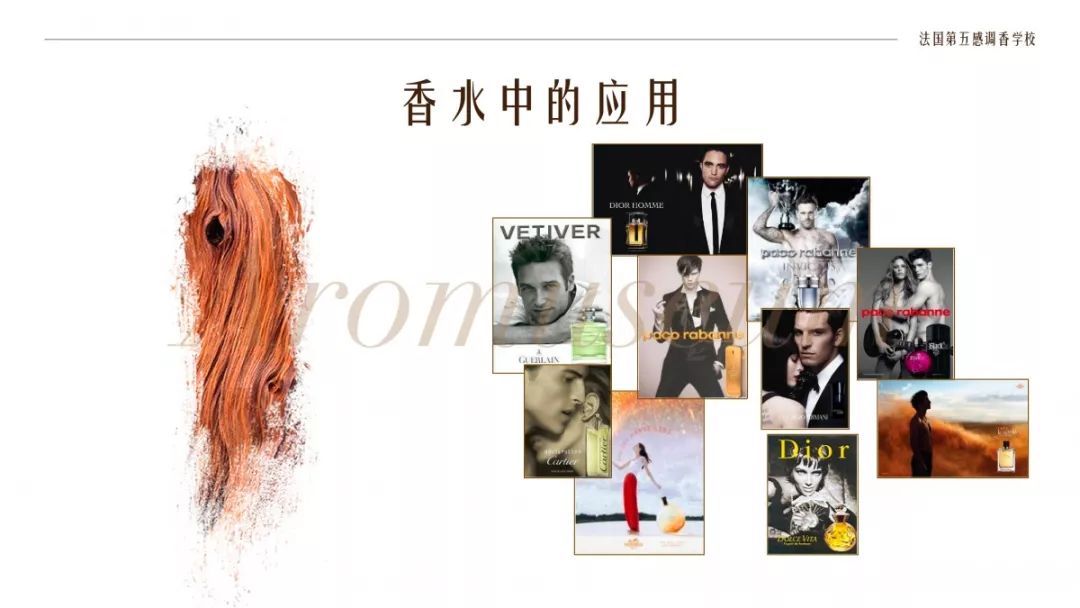 為什么有人一身果香，有人卻一身藿香？